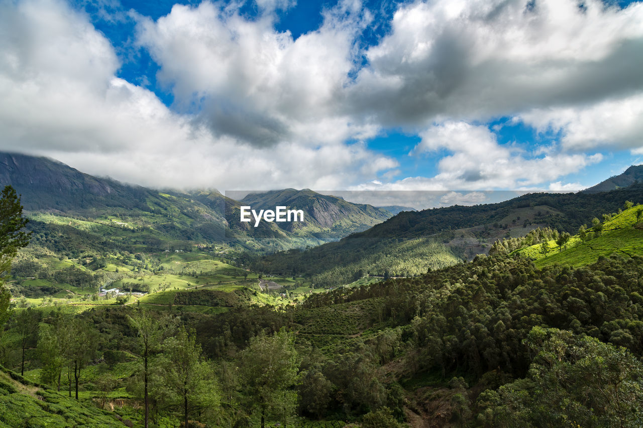 Beautiful landscape at munnar valley, kerala, india