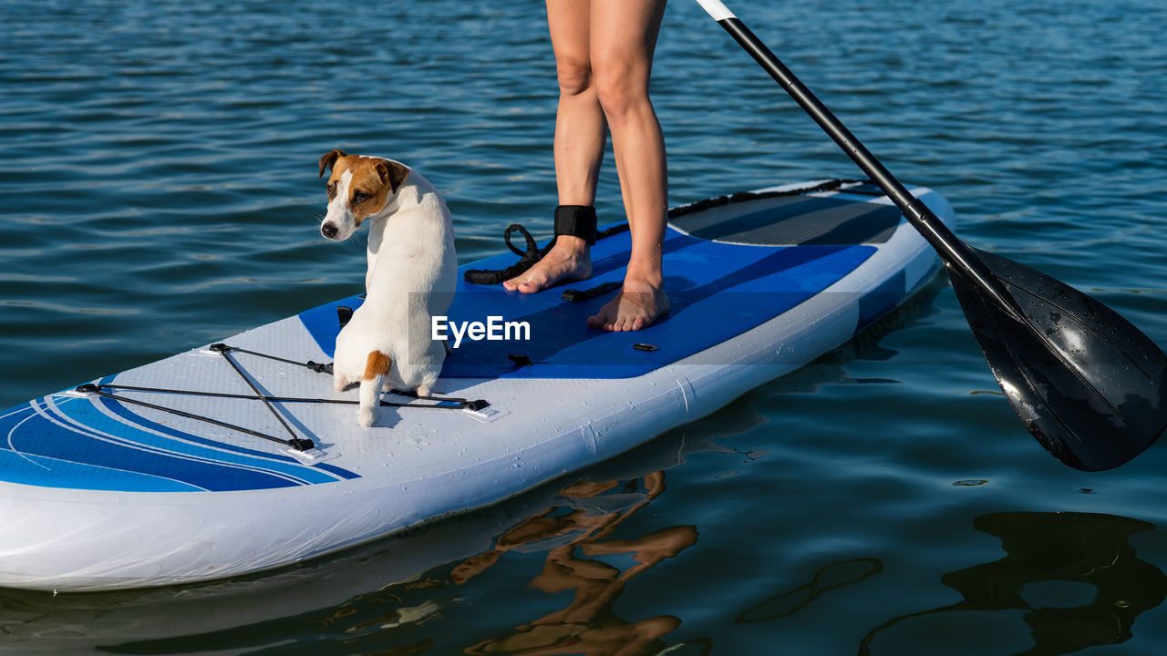 rear view of man in boat in lake