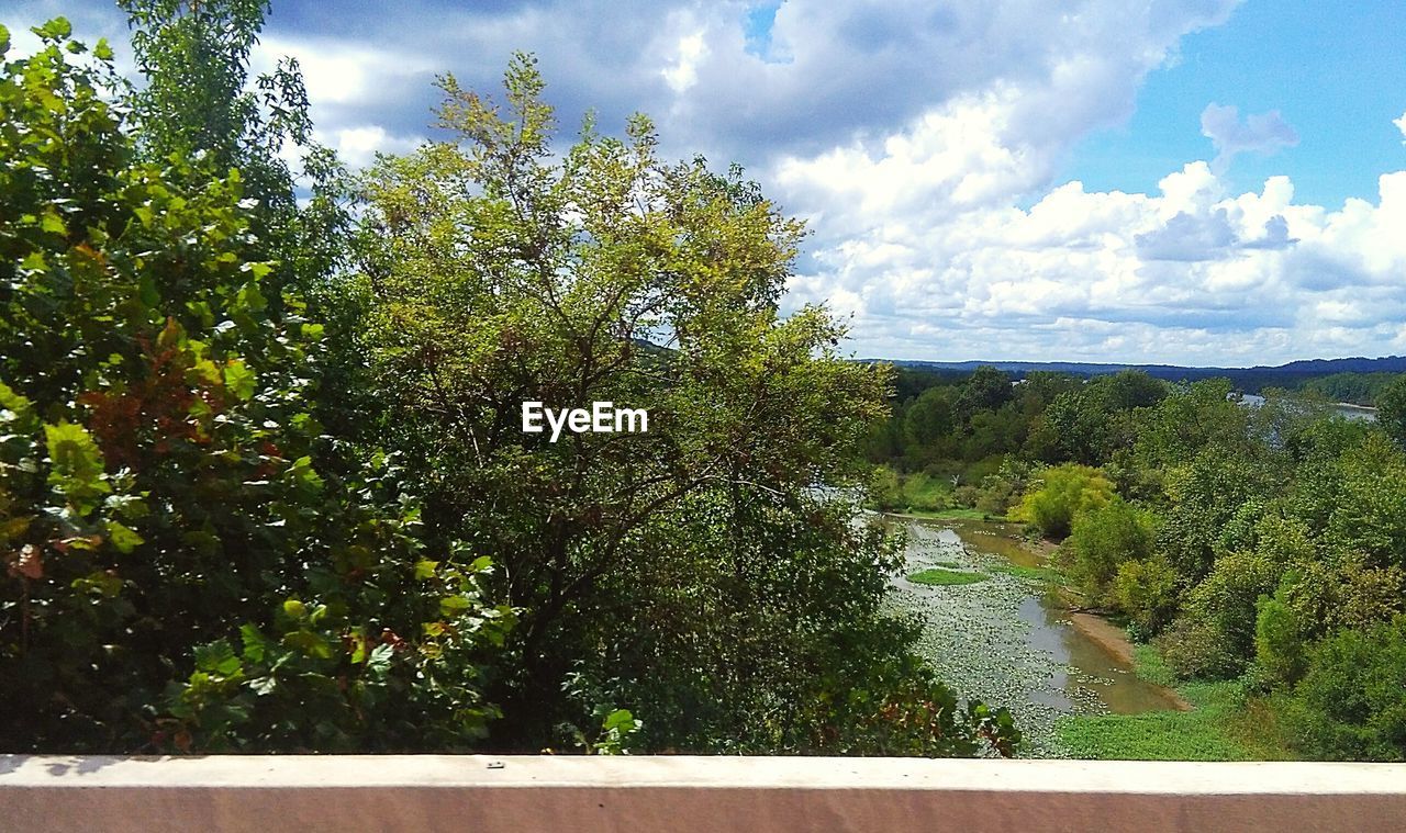 VIEW OF TREES BY RIVER AGAINST SKY