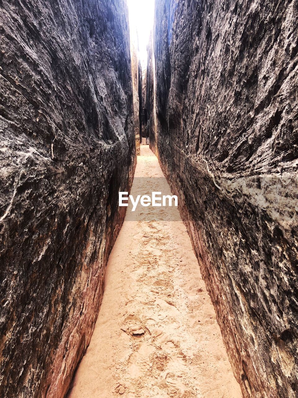 PANORAMIC VIEW OF TREES ALONG ROCKS