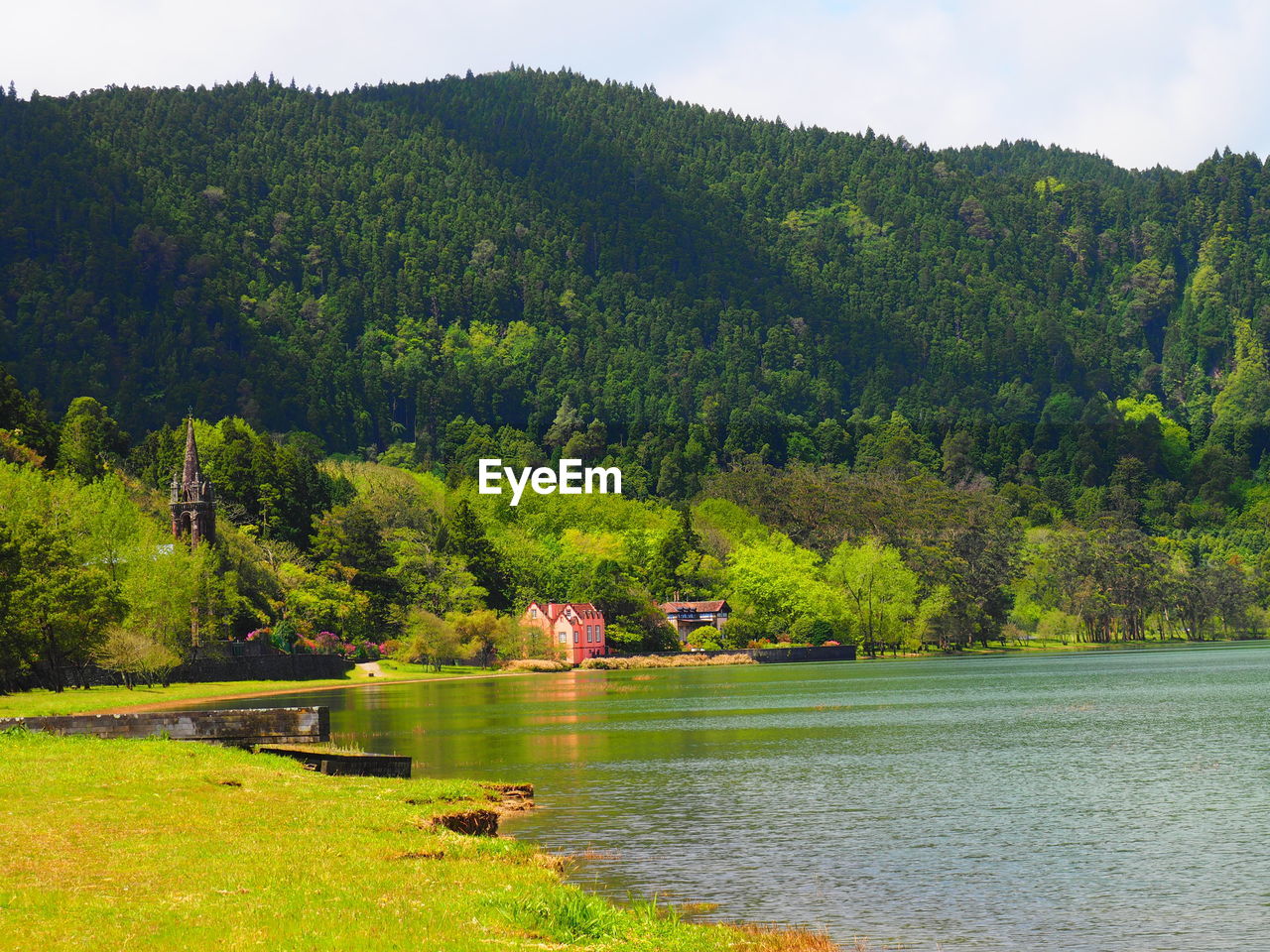 SCENIC VIEW OF LAKE IN FOREST AGAINST SKY