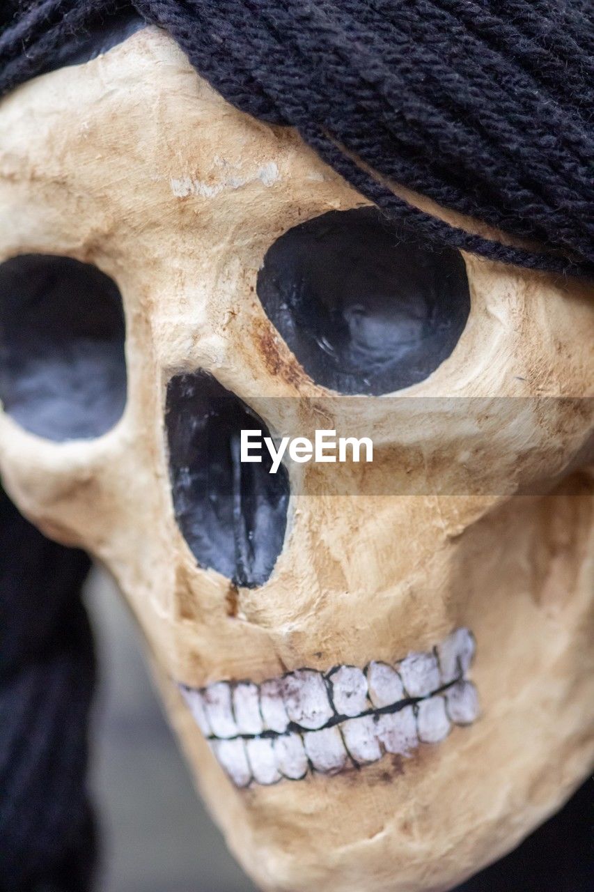 human head, bone, close-up, human skeleton, clothing, human skull, death, costume, spooky, halloween, fear