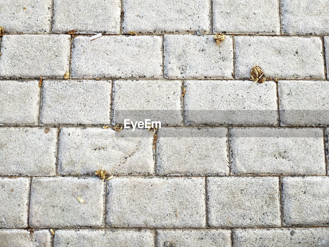 FULL FRAME SHOT OF TILED FLOOR