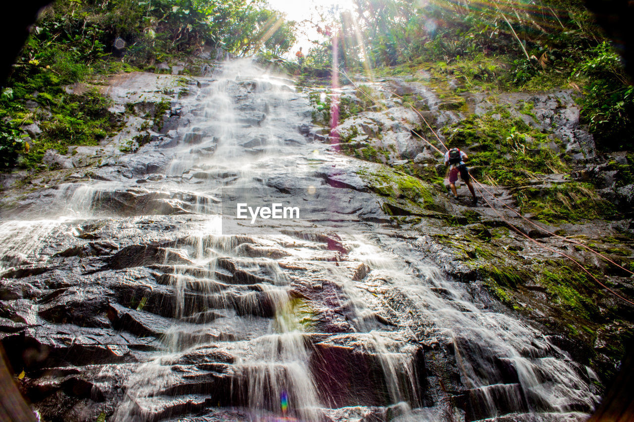 WATERFALL IN FOREST