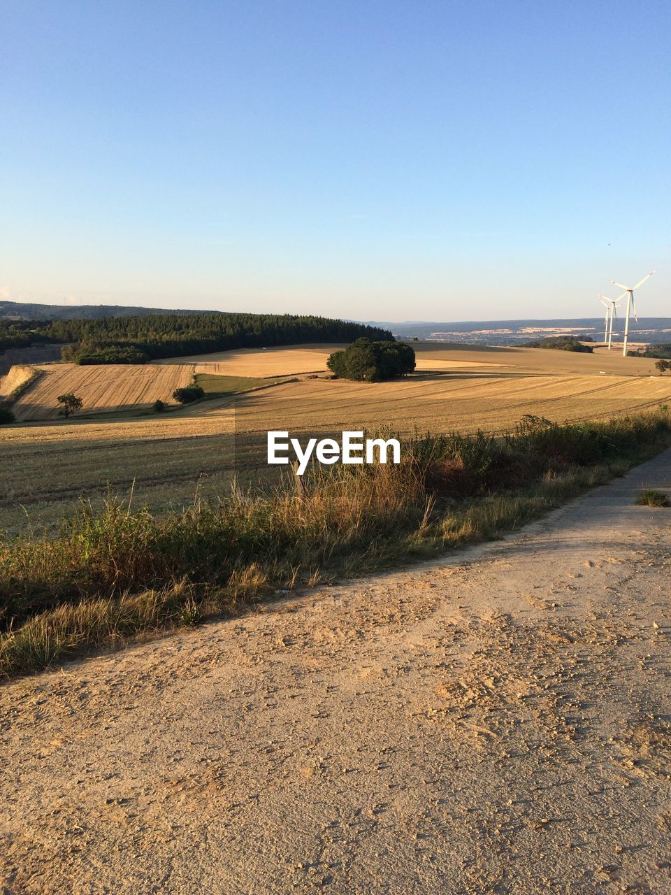 Scenic view of field against clear sky