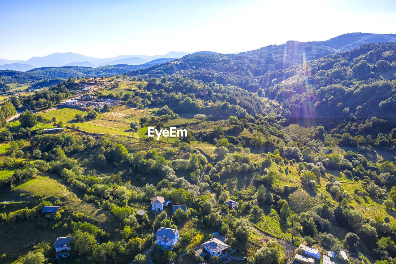 HIGH ANGLE VIEW OF TREES AGAINST SKY