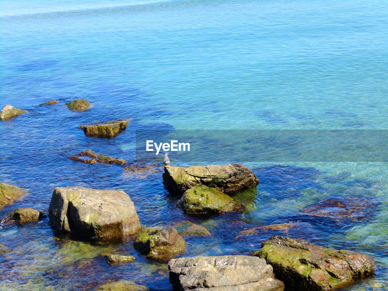 ROCKS ON SHORE