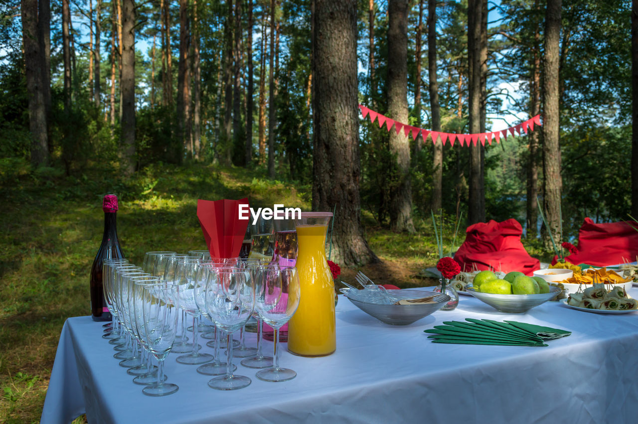 Place setting on table in forest