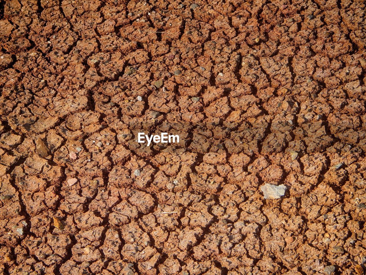 FULL FRAME SHOT OF DRY LEAF ON SAND