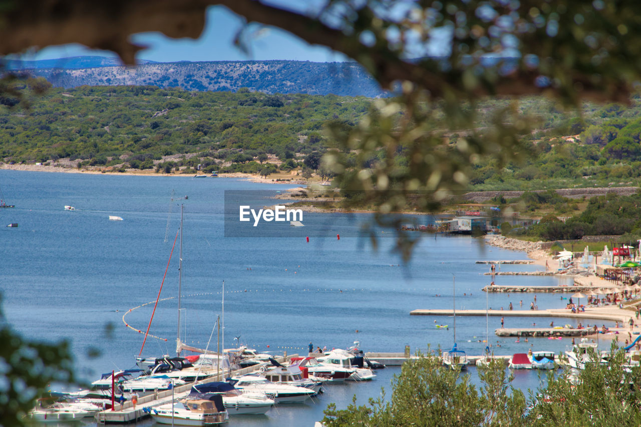 High angle view of sailboats moored at harbor