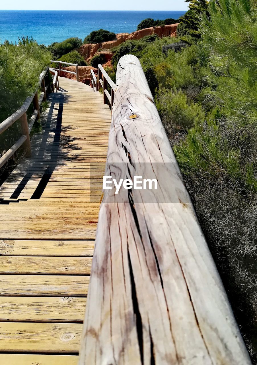 VIEW OF WOODEN PIER AMIDST PLANTS