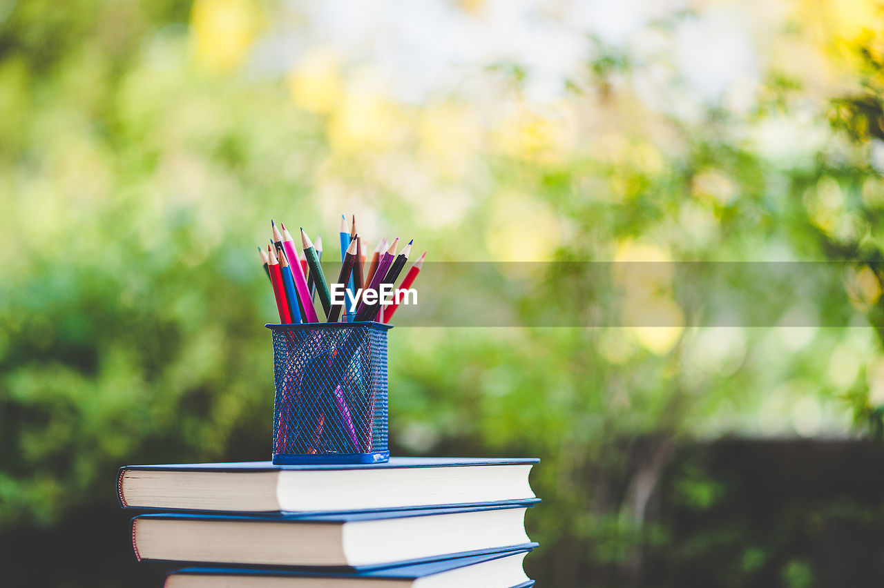 Colored pencils in desk organizer on stacked books at home