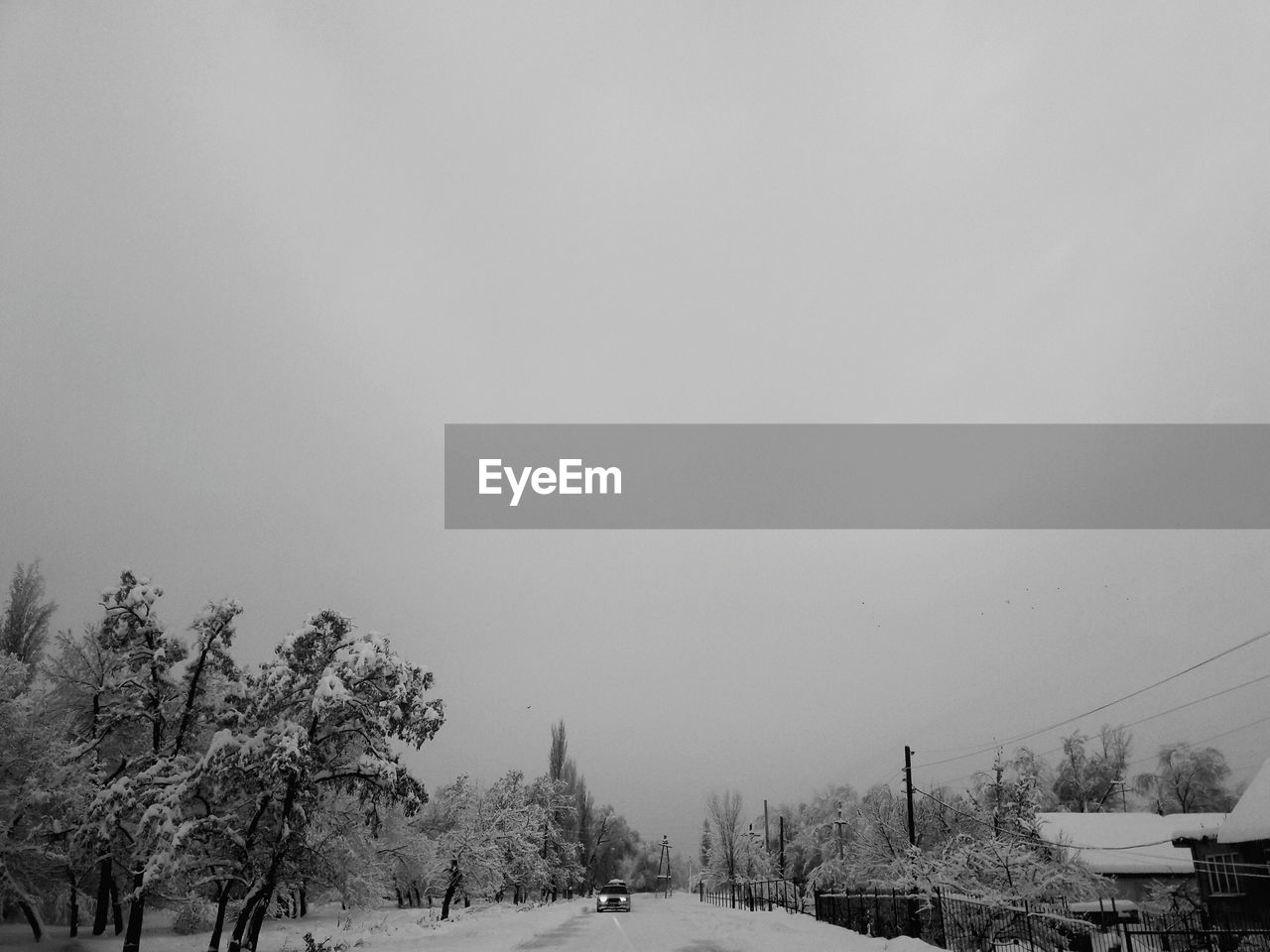 Trees on field against clear sky during winter