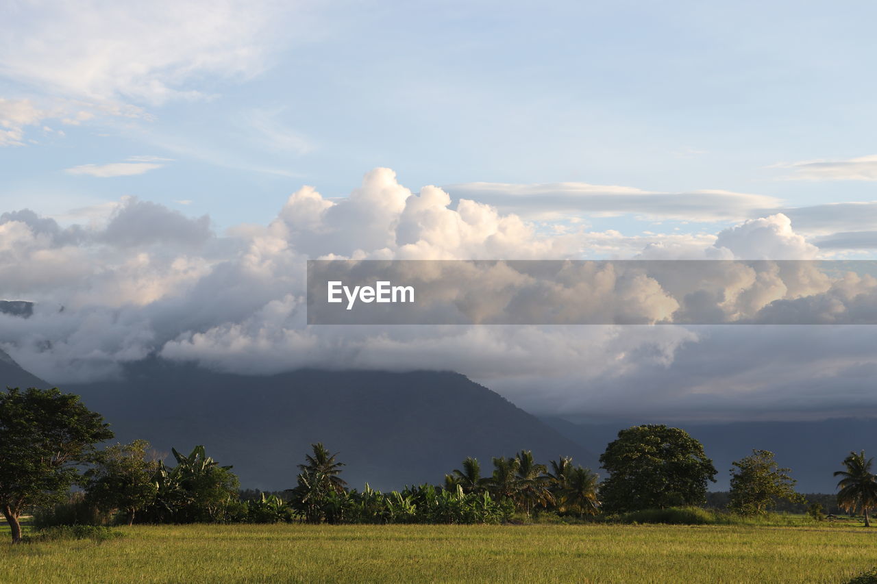 Scenic view of field against sky