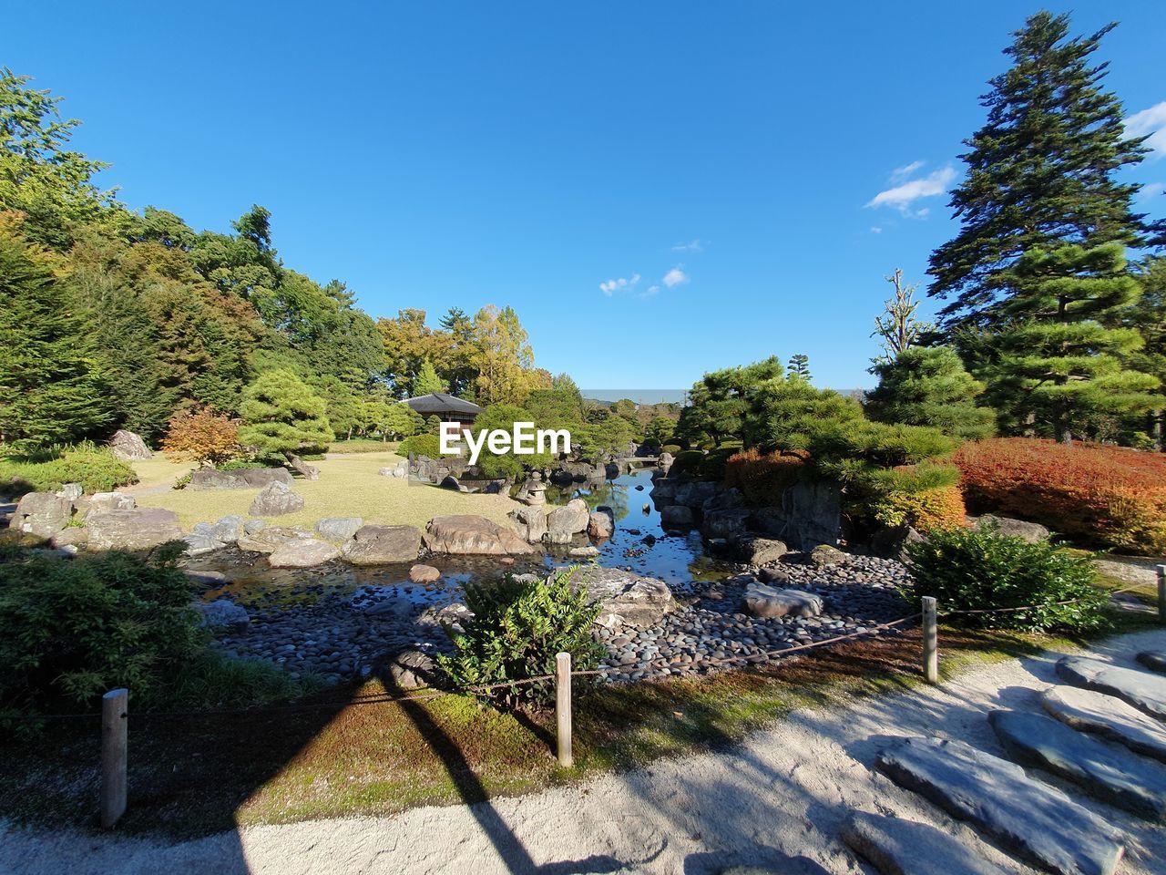 SCENIC VIEW OF TREES AGAINST BLUE SKY