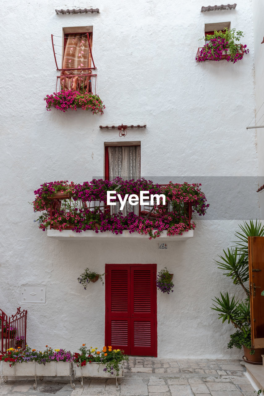 FLOWER POTS ON BUILDING