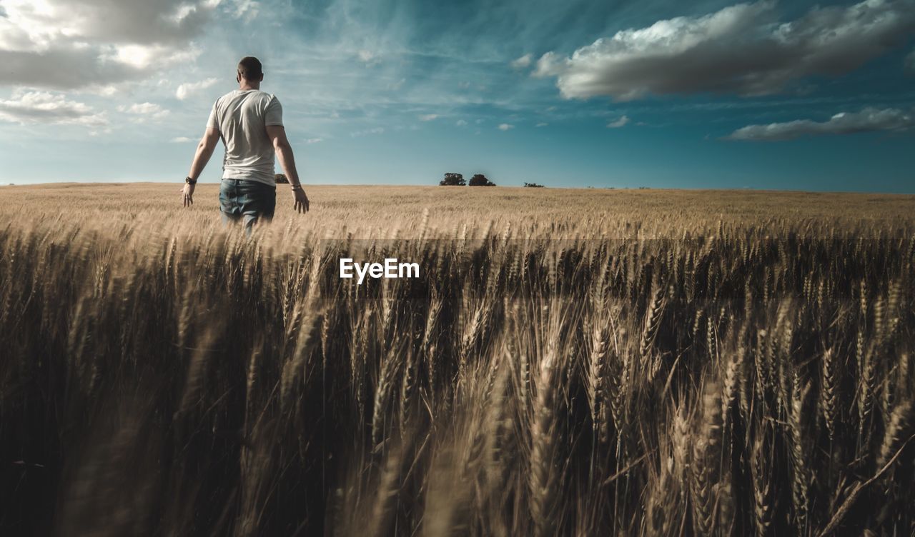 Rear view of man standing in field