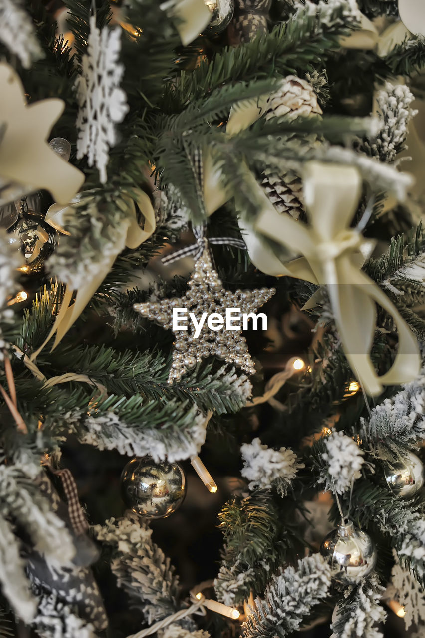 plant, branch, christmas, christmas decoration, no people, celebration, tree, nature, christmas tree, decoration, holiday, flower, close-up, winter, backgrounds, leaf, full frame, christmas ornament, frost, tradition, cold temperature, pattern, indoors, selective focus, beauty in nature, coniferous tree, pinaceae, snow, conifer cone