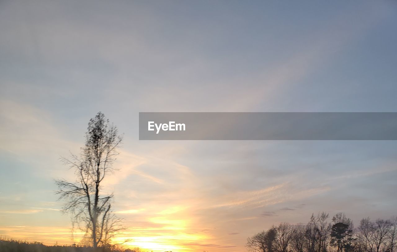 LOW ANGLE VIEW OF SILHOUETTE BARE TREE AGAINST SKY DURING SUNSET