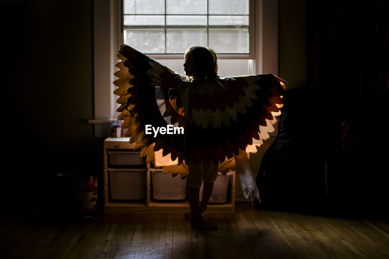 A small girl stands silhouetted in a window wearing outstretched wings