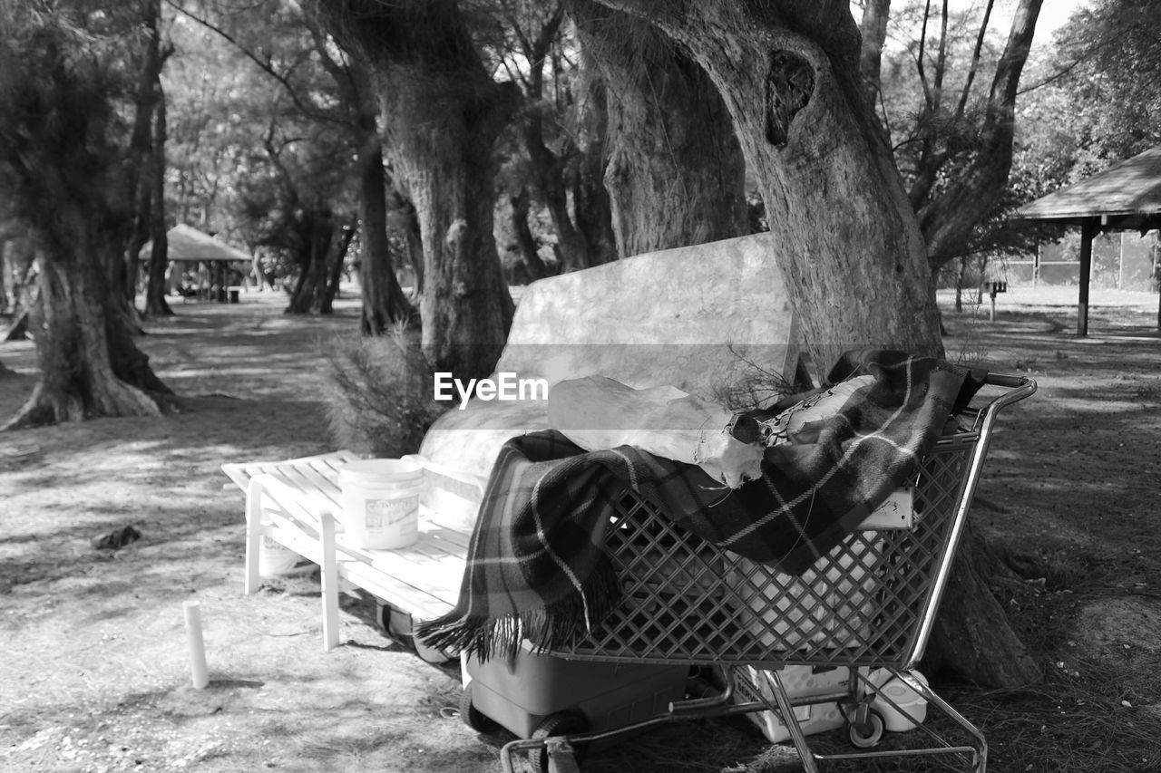 Table and shopping cart on field by trees