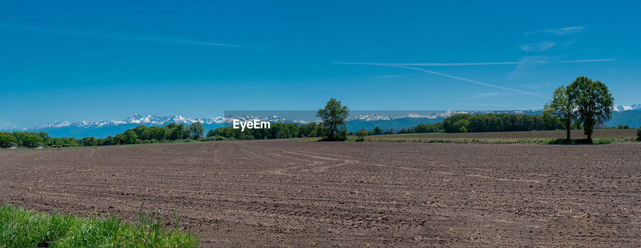 Scenic view of agricultural field against blue sky