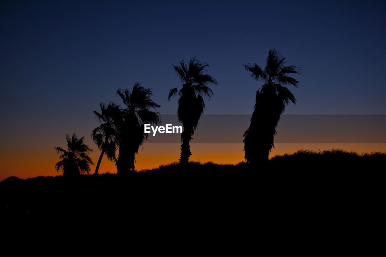 SILHOUETTE PALM TREES ON LANDSCAPE AGAINST SKY AT SUNSET