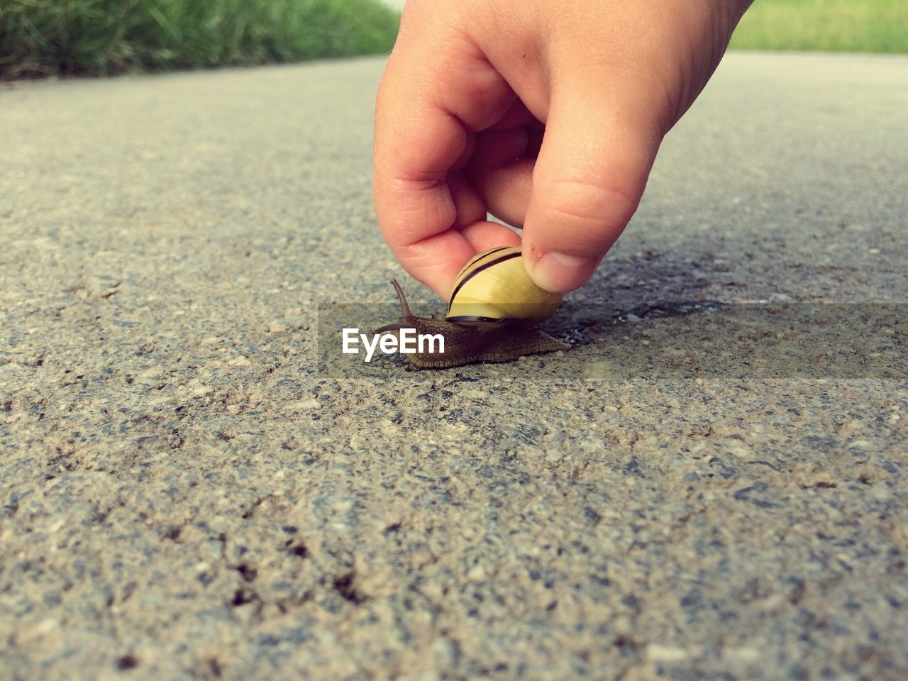 CLOSE-UP OF BABY HAND ON BIRD