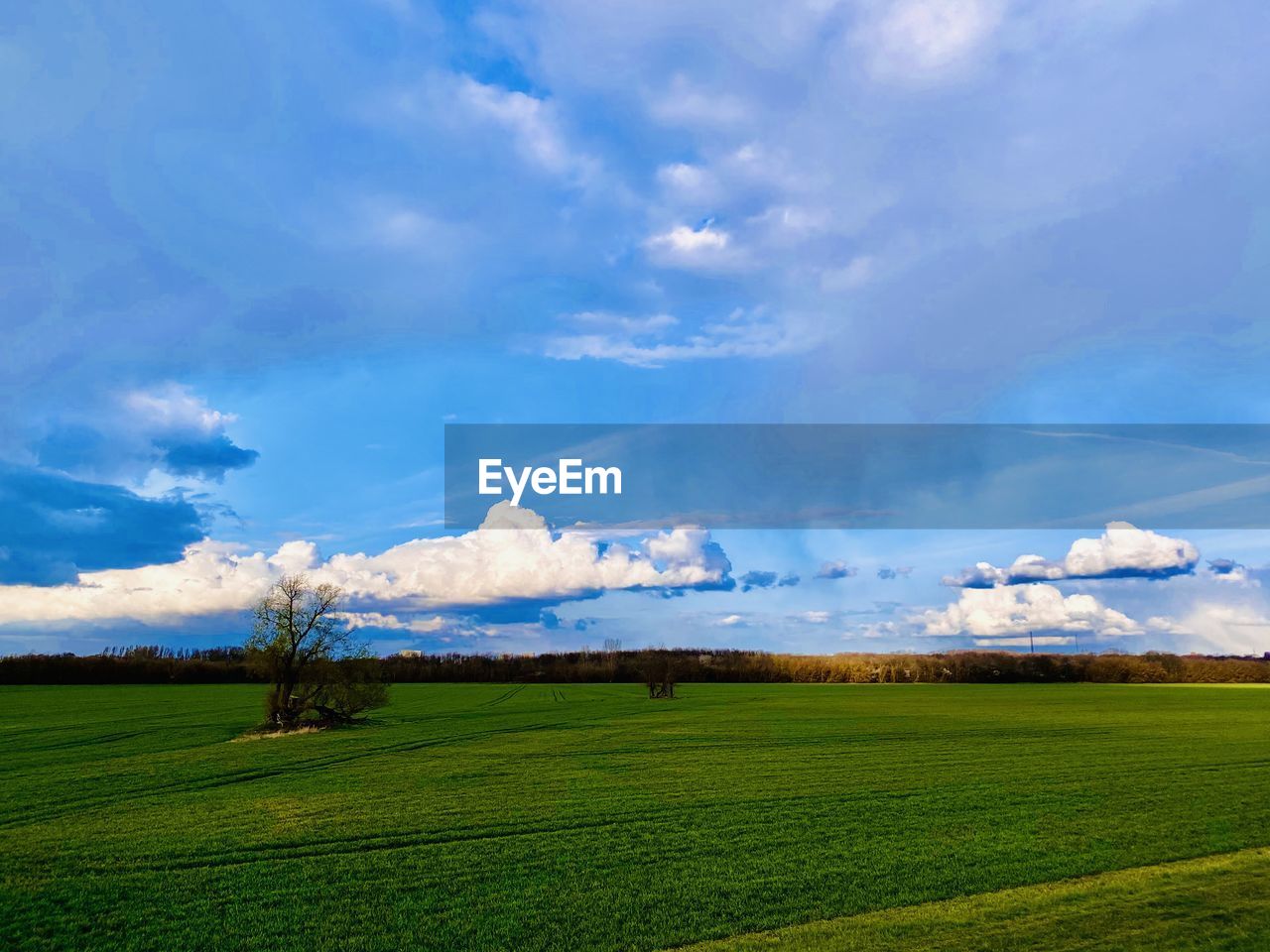 SCENIC VIEW OF AGRICULTURAL LANDSCAPE AGAINST SKY