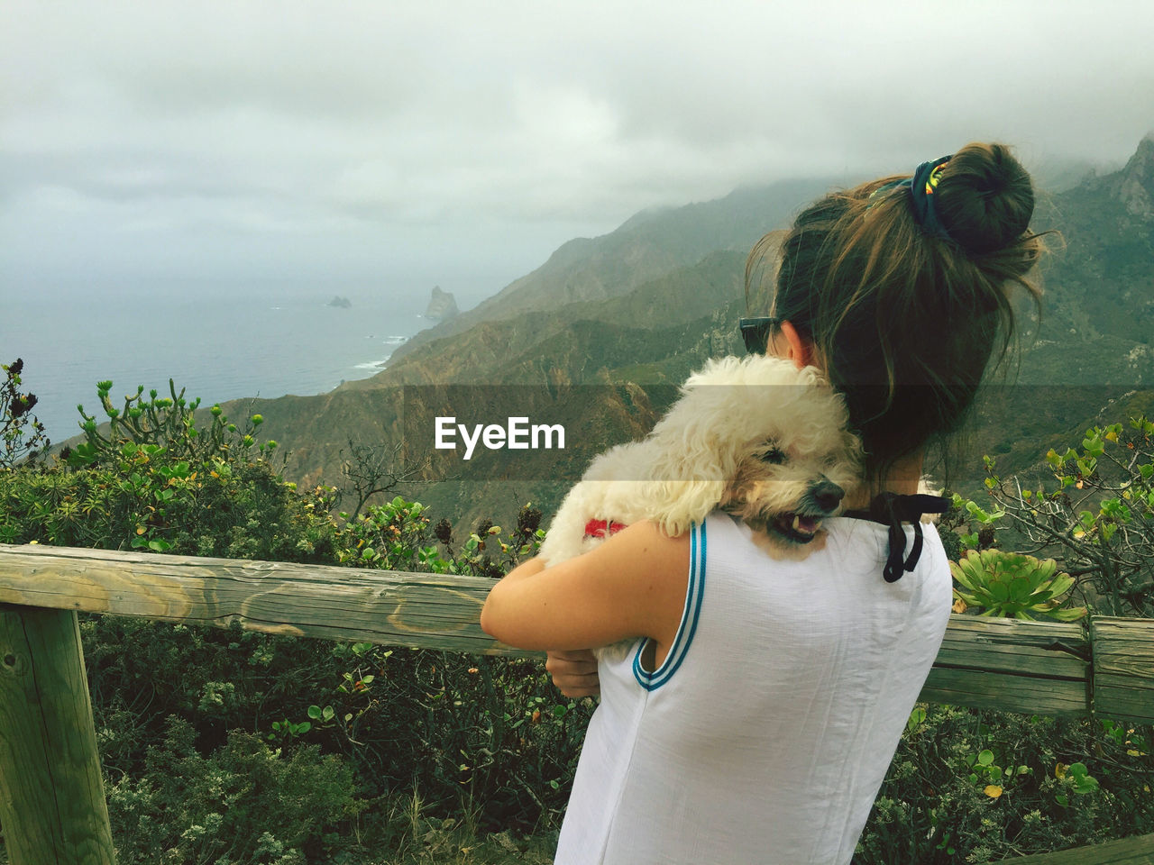 VIEW OF A DOG LOOKING AT MOUNTAINS
