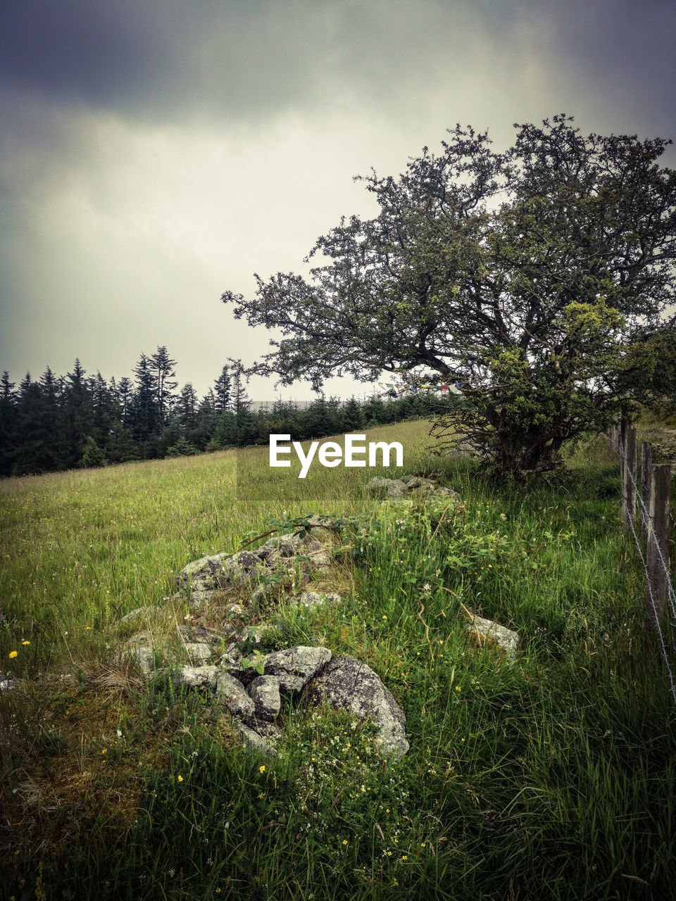 SCENIC VIEW OF LAND AGAINST SKY