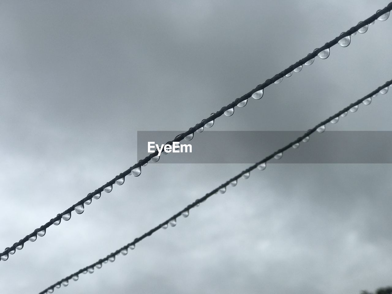 Low angle view of wet wires against sky during rainy season