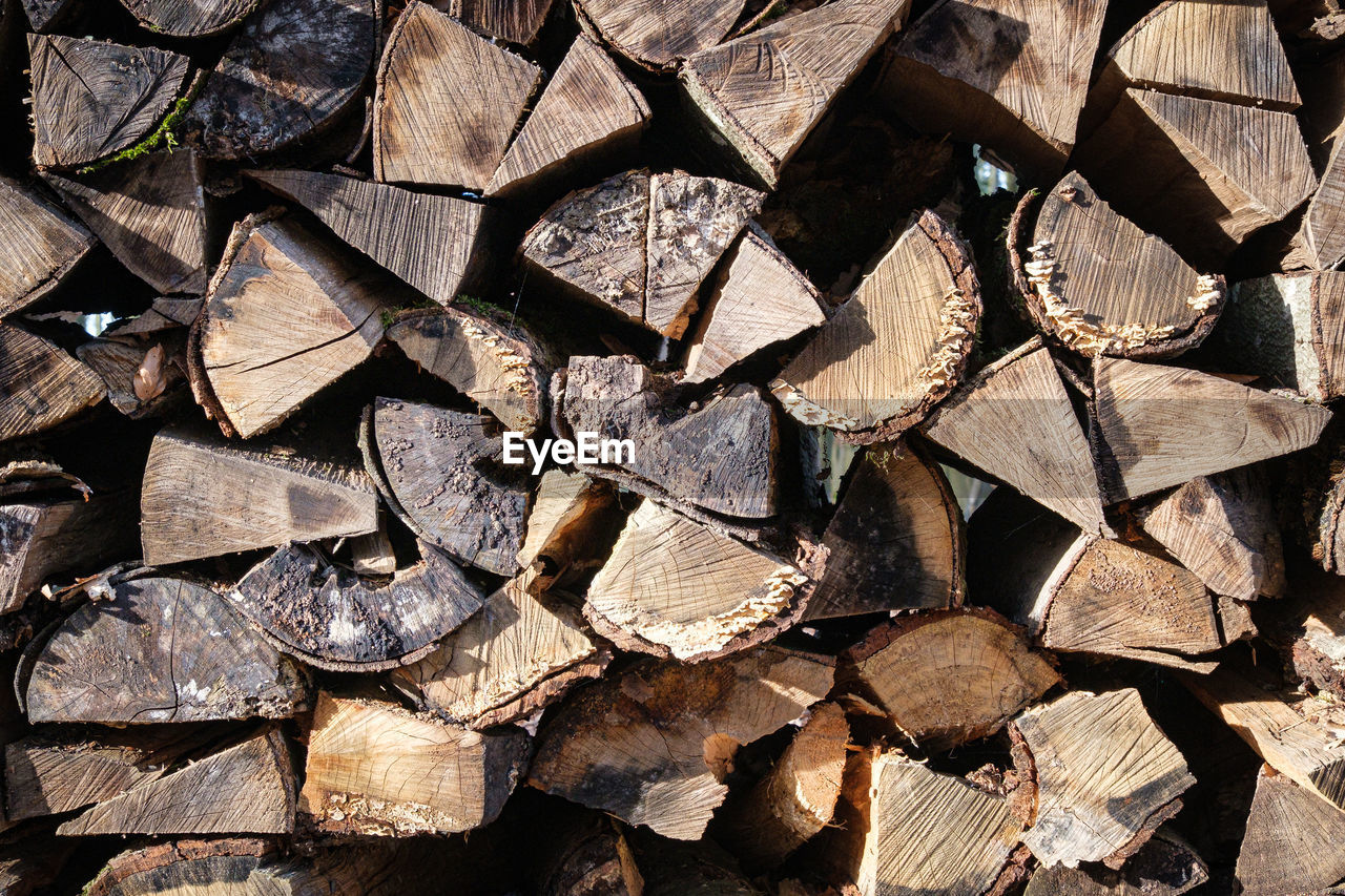 Full frame shot of logs in forest