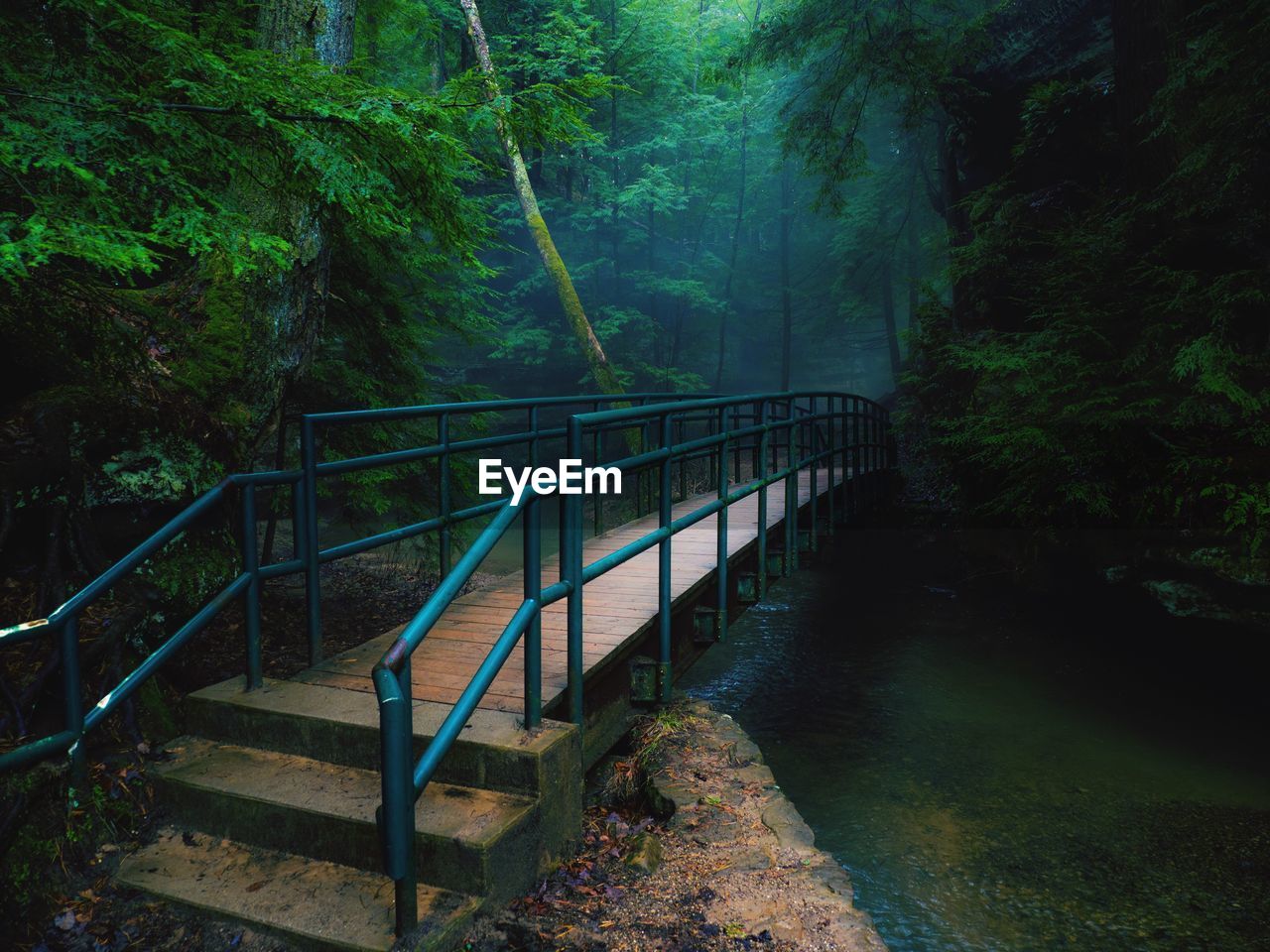 FOOTBRIDGE AMIDST TREES IN FOREST