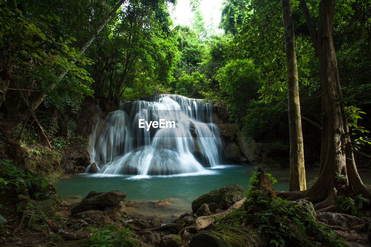 WATERFALL IN FOREST