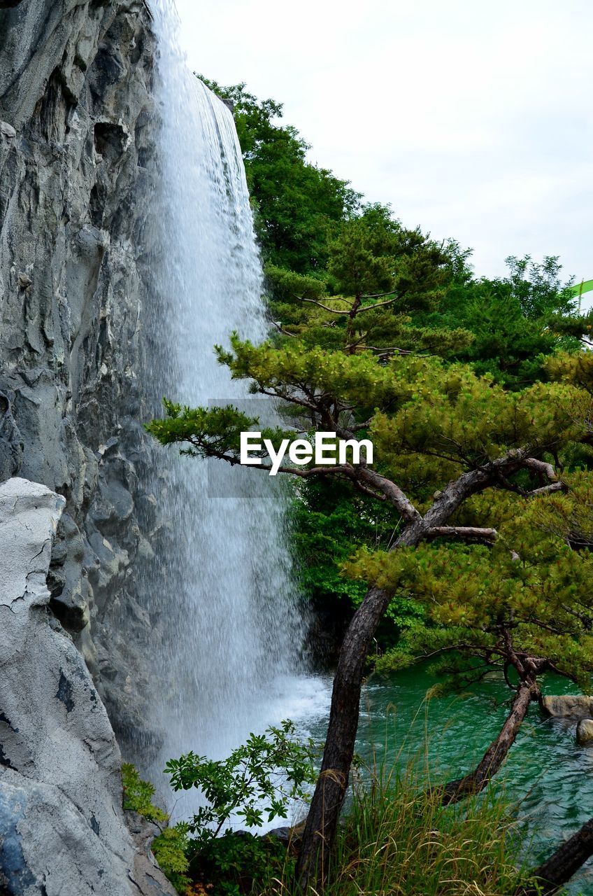 Scenic view of waterfall