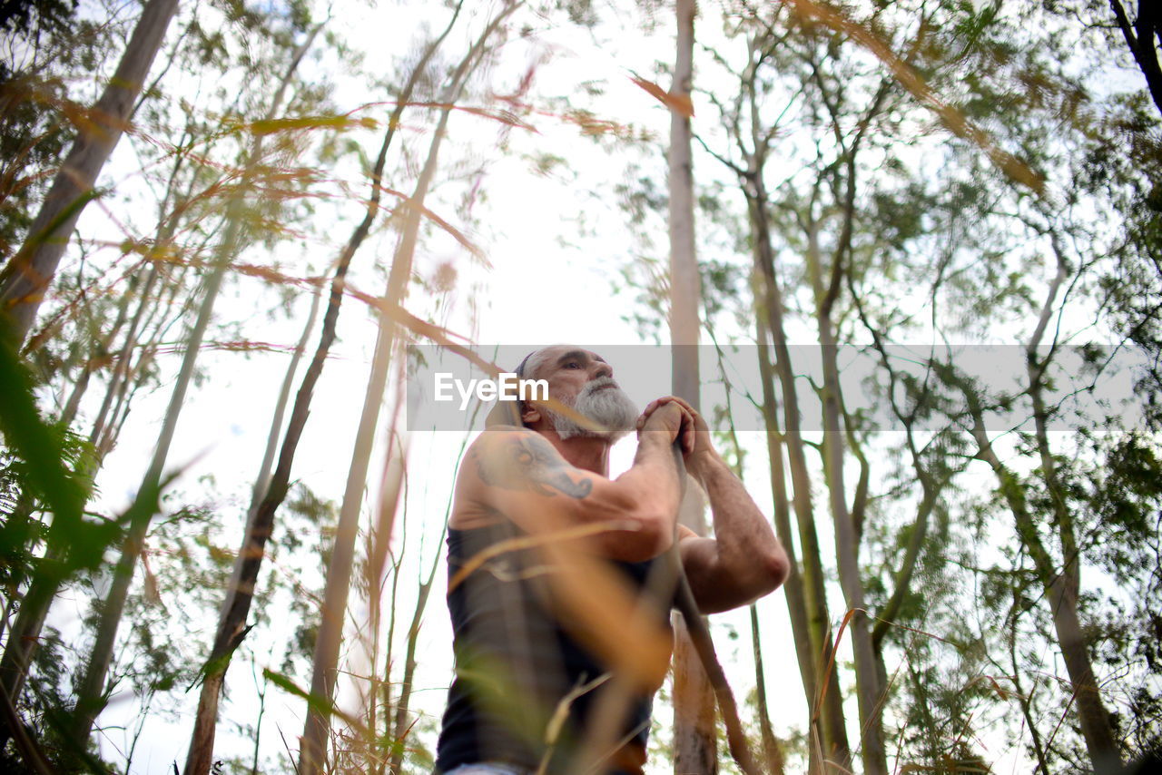 Low angle view of man standing in eucalyptus forest