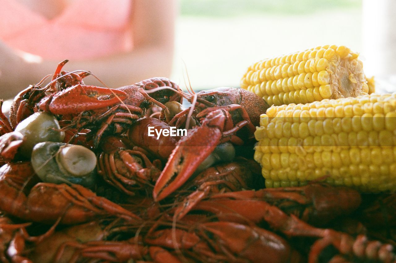 Close-up of seafood and corns