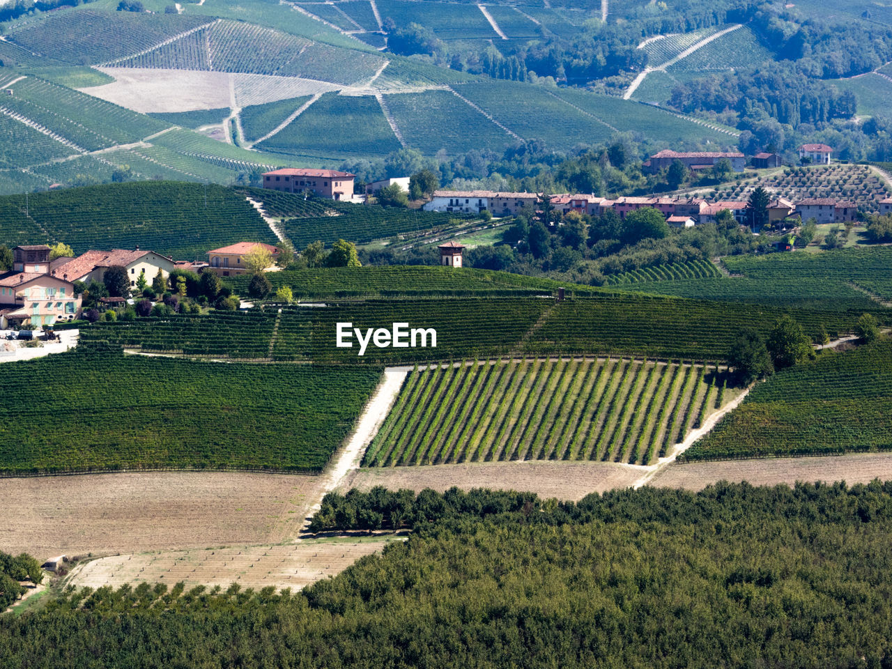 Aerial view of agricultural field