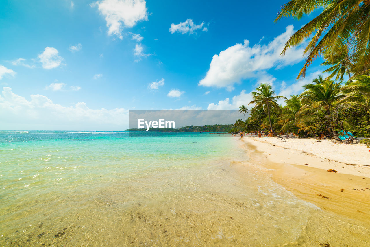 SCENIC VIEW OF BEACH AGAINST BLUE SKY