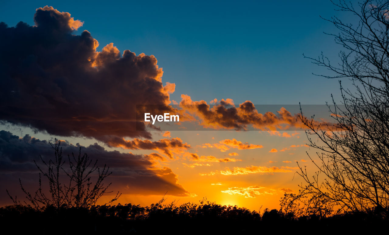 SILHOUETTE TREES ON LANDSCAPE AGAINST SKY AT SUNSET