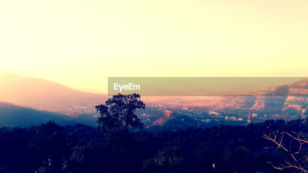 SILHOUETTE TREES ON LANDSCAPE AGAINST SKY