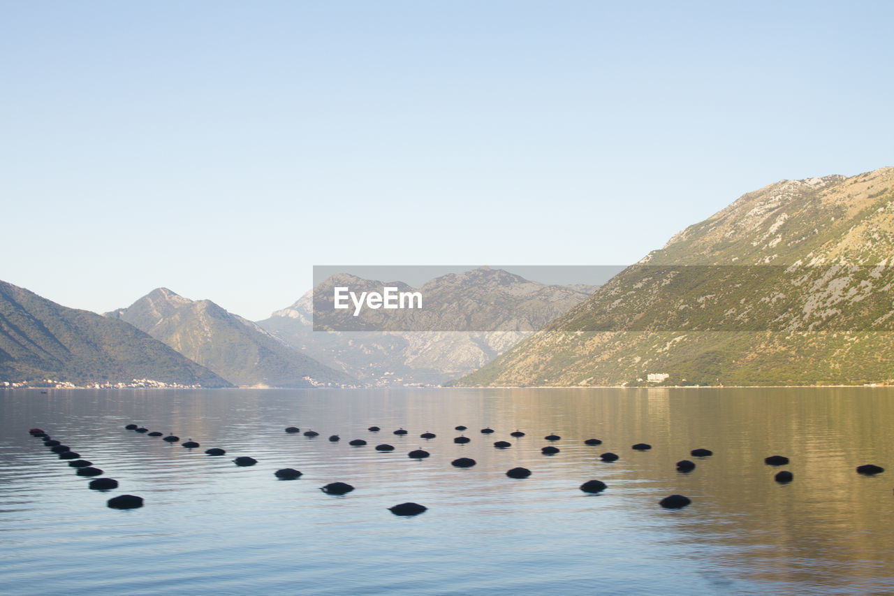 Scenic view of lake against clear sky