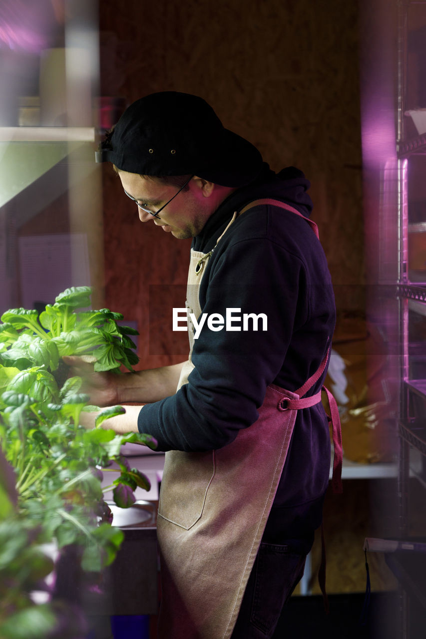 Chef examining vegetables garden in restaurant