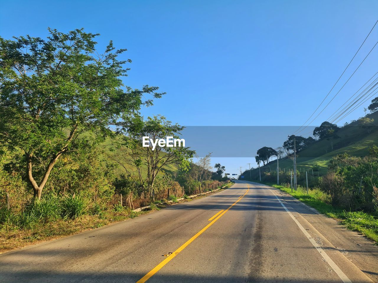 ROAD AMIDST TREES AGAINST SKY