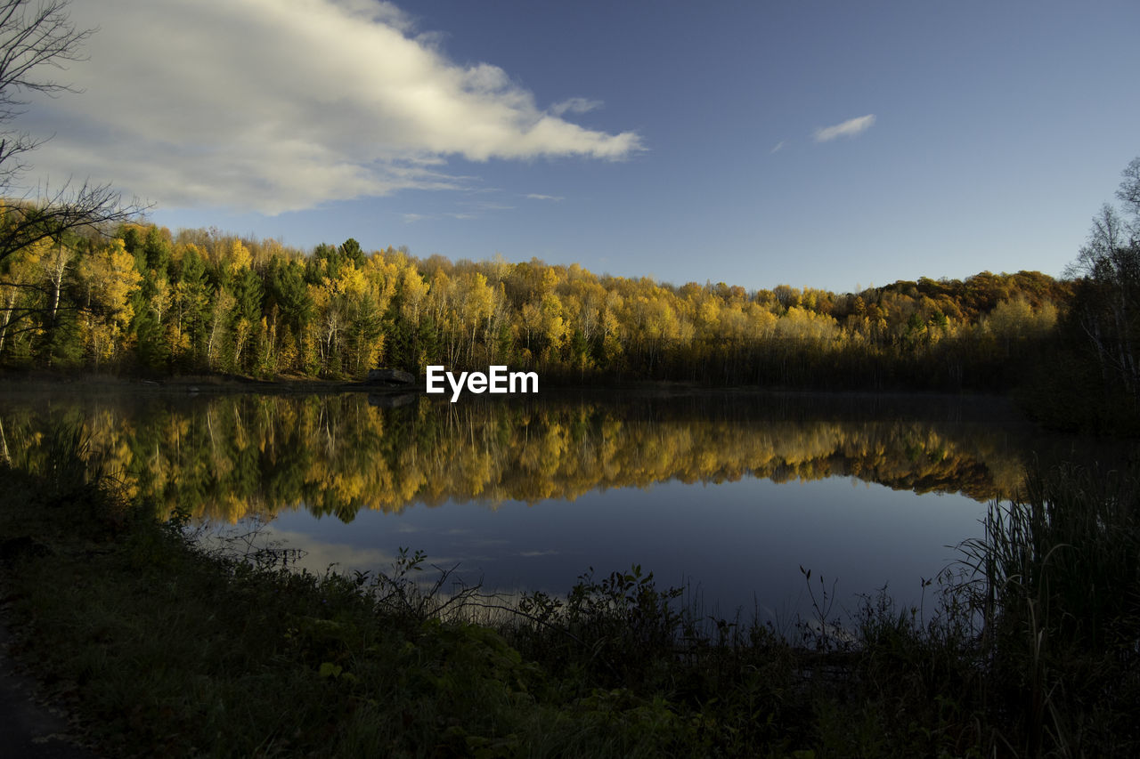 REFLECTION OF TREES IN LAKE AGAINST SKY