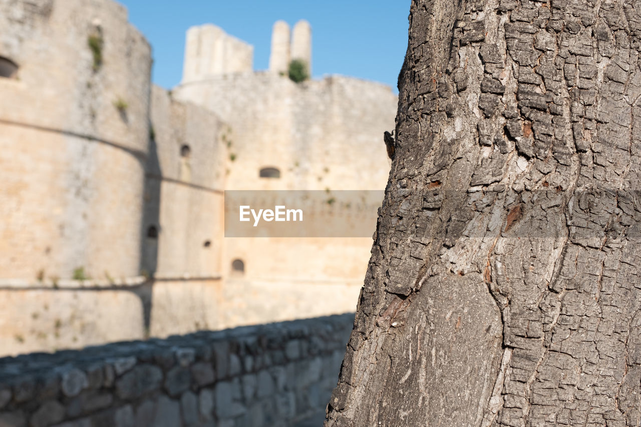 VIEW OF OLD WALL OF BUILDING