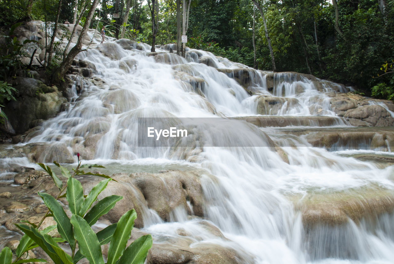 Scenic view of waterfalls dunns river jamaica