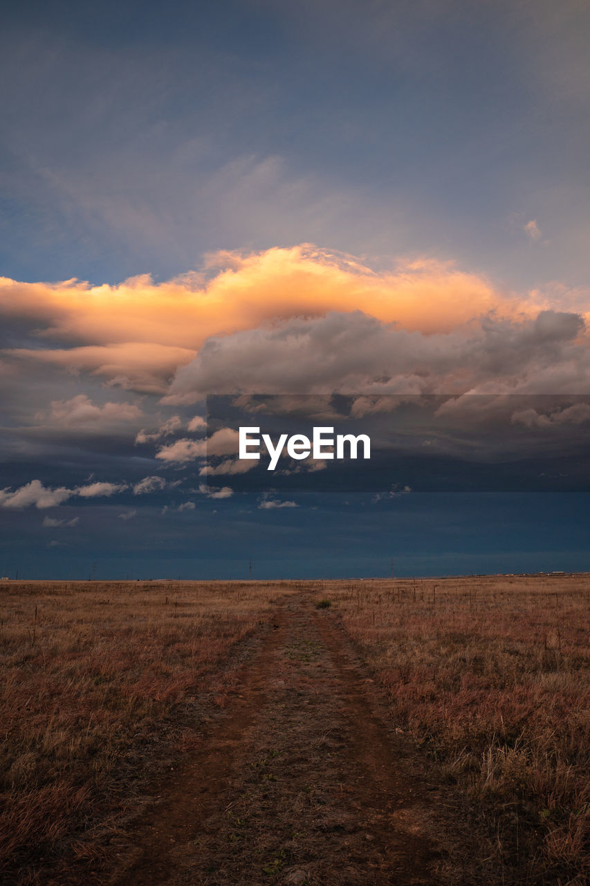 Scenic view of field against sky during sunset