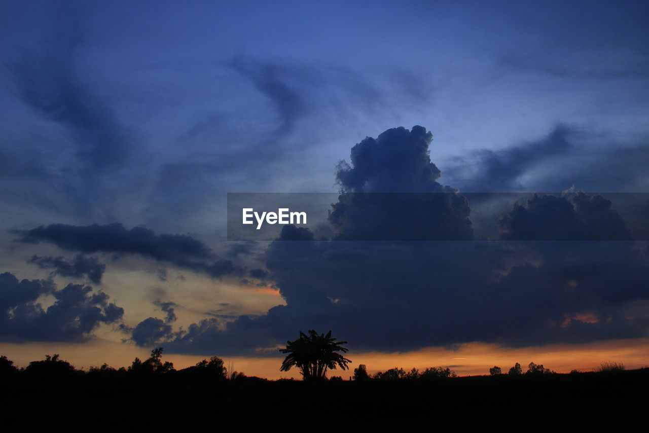 Low angle view of trees against dramatic cloudy sky during sunset